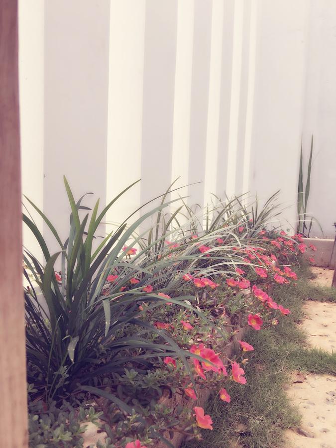 Hani House プレイク エクステリア 写真